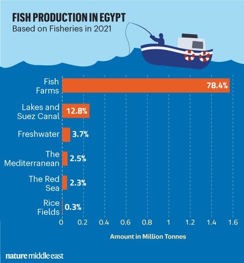 Fish production in Egypt, Nature Middle East
